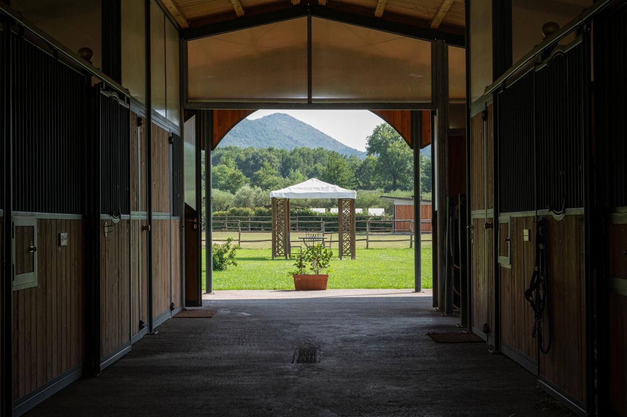 Вилла Family Farm Soc. Agr. A R.L. Vairano Patenora Экстерьер фото