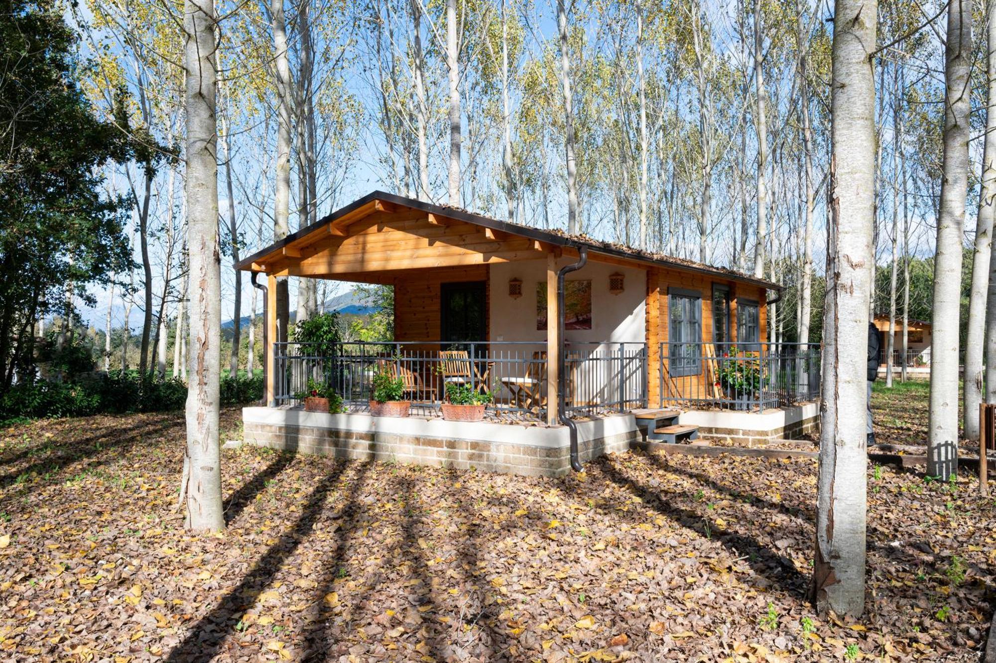 Вилла Family Farm Soc. Agr. A R.L. Vairano Patenora Экстерьер фото